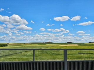 Fototapeta premium green field and blue sky