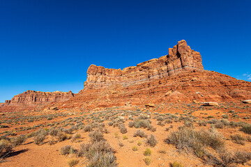 Fototapeta premium Beautiful desert landscape at Valley of the Gods near Mexican Hat Utah.