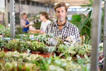 Adult male seller holding pots with different succulents in plant store