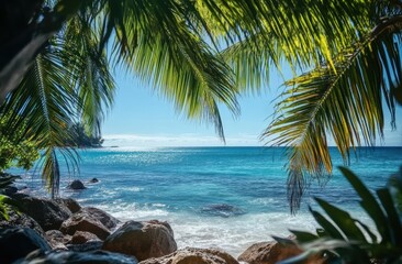 Tropical beach scene seychelles nature photography sunlit environment relaxing viewpoint serene concept