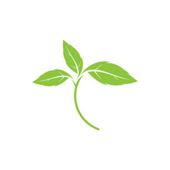 leaf ecology  logo and vector template