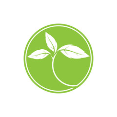 leaf ecology  logo and vector template