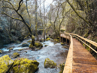 Wooden walkway winding through a lush forest alongside a flowing stream with moss-covered rocks, creating a serene and picturesque nature scene in Pindelo, Outeiro, Oliveira de Azemeis, Portugal