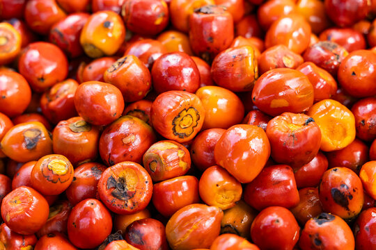 Chontaduro, an exotic fruit in the Colombian farmers' market - Bactris gasipaes.