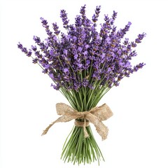 Obraz premium Beautiful Lavender Bouquet with Purple Flowers Tied with Natural Rope on White Background for Fresh Decor or Gifts