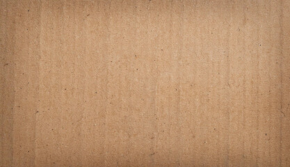 Fototapeta premium Brown Cardboard Texture