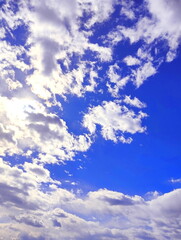 早春　青空　イメージ