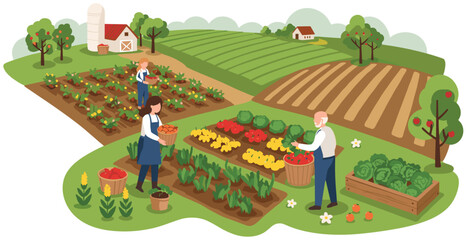 Fototapeta premium Farmers harvesting veggies from their field. Colorful flat design illustration