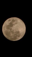 moon in the night sky