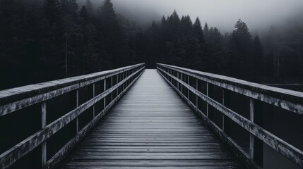 Misty Forest Bridge Path (1)