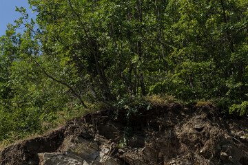 Rhodopes, are a mountain range in Southeastern Europe. Bulgaria. Panorama. The forest area covers the mountains.