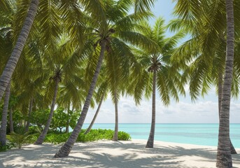 Obraz premium Palm Trees on White Sand Beach with Turquoise Ocean View