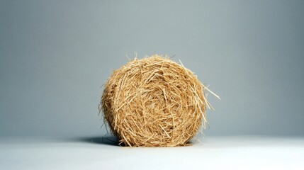 Hay Bale Studio Shot
