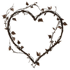 Twig and vine heart design valentines isolated on transparent background © Brunno
