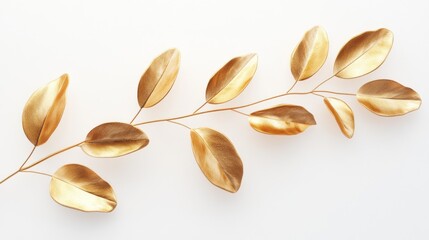 Golden leaves branch, white background, elegant design, wedding invitation