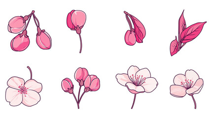 エレガントな桜の花イラストセット｜デザインに使える素材
