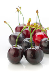 Fresh cherries on a white background showcasing their vibrant colors and glossy appearance