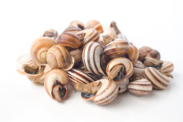 Fresh edible snails stacked together on a white background ready for culinary preparation