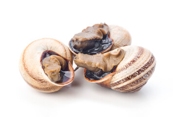 Delicious edible snails ready for culinary preparations and tasting experiences