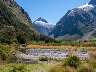 Monkey Creek on the Milford Road, New Zealand