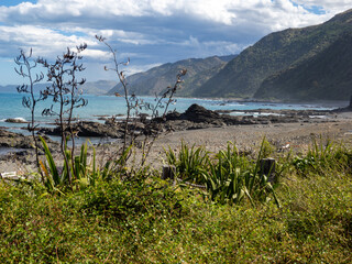 Kaikoura Coast -0 New Zealand
