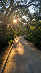 Obraz premium Golden Dawn: A Sunrise Scene on the Secluded SJ Jogging Trails