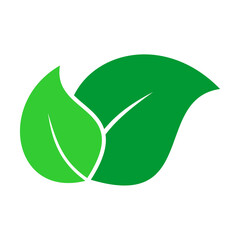 Green leaf icon isolated on white background