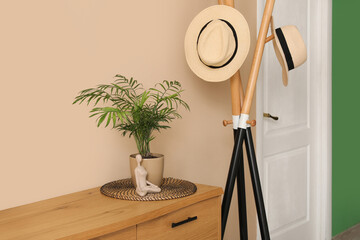 Stylish interior of living room with houseplant on chest of drawers, closeup
