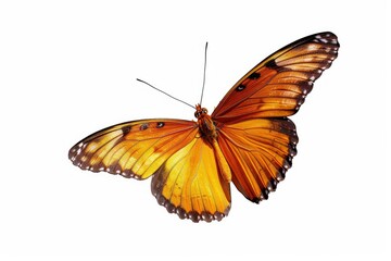 Clear Pixel Visual of Butterfly Isolated on Transparent Png Background, Generative Ai