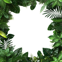 Leaves set frame decoration plant isolated on transparent background