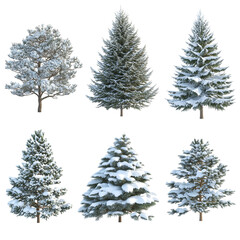 Snow-covered pine tree collection, winter holiday decor, Christmas nature scene, isolated on transparent or white background, png