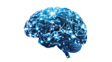 Human brain showing neural connections on transparent background
