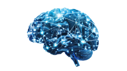 Human brain showing neural connections on transparent background