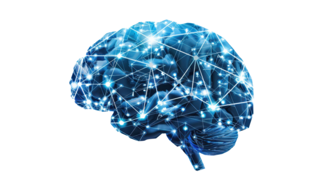 Human brain showing neural connections on transparent background