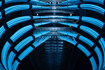 Close-Up View of Blue Ethernet Cables in a Server Rack