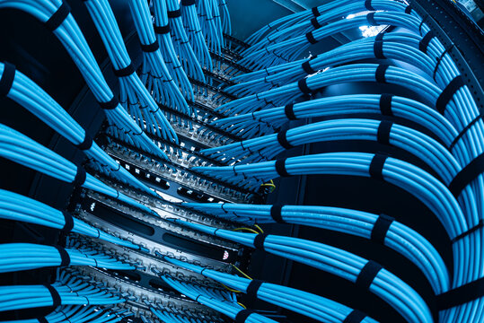 Vibrant Network Cables Bundled in Server Rack for Data Center Use