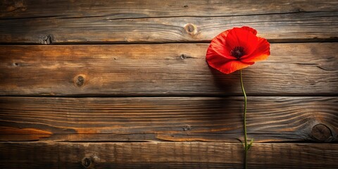 A single scarlet poppy rests against a backdrop of rich, dark brown wooden planks, a poignant study in color and texture