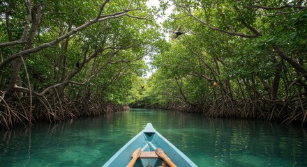 Fototapeta premium Serene Mangrove Tunnel Boat Ride