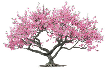 Obraz premium pink cherry blossom tree transparent background