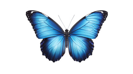 Obraz premium Beautiful indigo butterfly with transparent background in png style for design projects.
