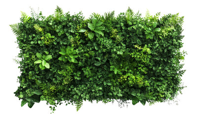 Obraz premium Realistic Bush Foliage Texture