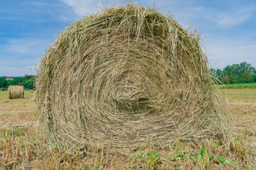 Detalle de una bala de heno en el campo un día soleado con cielo azul.