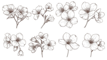 桜の花のイラスト｜エレガントな手描き風モノクロ桜デザイン