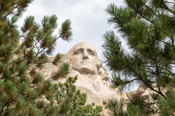 Carved Head of President George Washington Peering Through Pine Tree Branches on Mount Rushmore, South Dakota