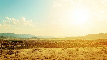 Obraz premium Vast Desert Landscape at Sunset with Golden Light