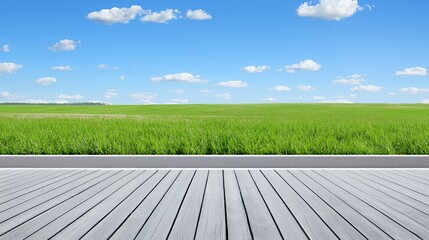 Bright Sunny Day Landscape with Green Field and Wooden Deck