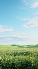 Obraz premium Vast Green Field Under a Blue Sky with Fluffy White Clouds