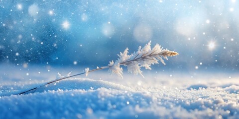 A Frosty Plant Stem Lies in a Blanket of Sparkling Snow Under a Winter Sky