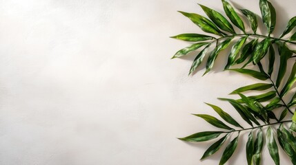 Fototapeta premium A vibrant green plant thrives against a stark white wall, showcasing the contrast between nature and minimalist architecture.