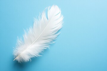 Obraz premium A vibrant giraffe feather rests against a striking blue backdrop, elegantly contrasting with a clean white background, showcasing its intricate patterns.